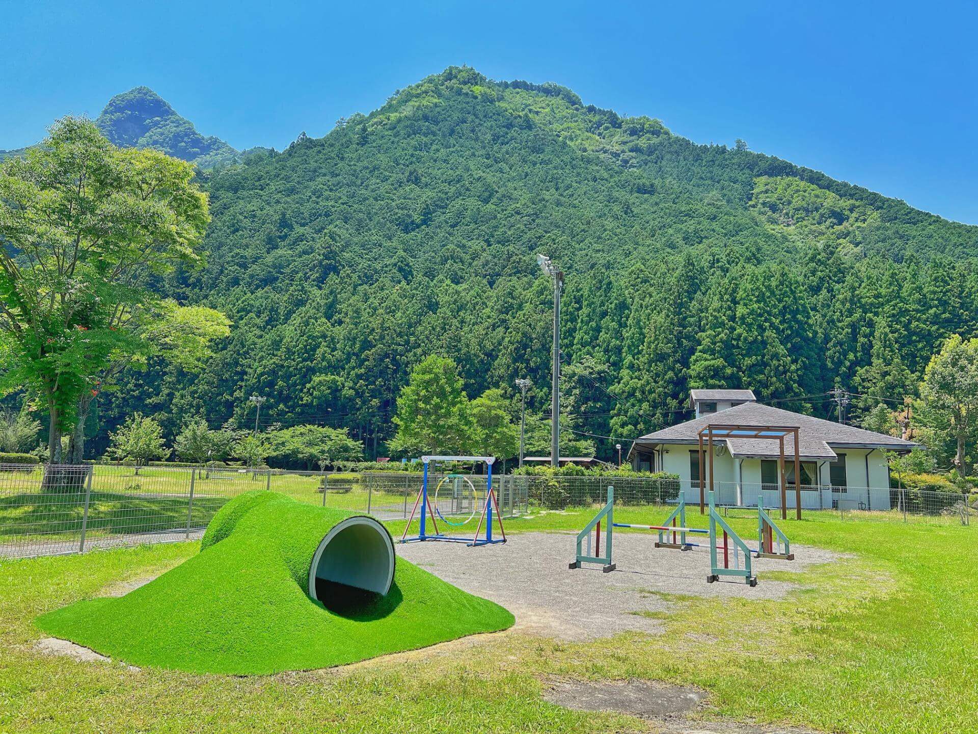 【松阪市の室内プレイスペース】松阪わんわんパラダイス　森のホテルスメール dog park